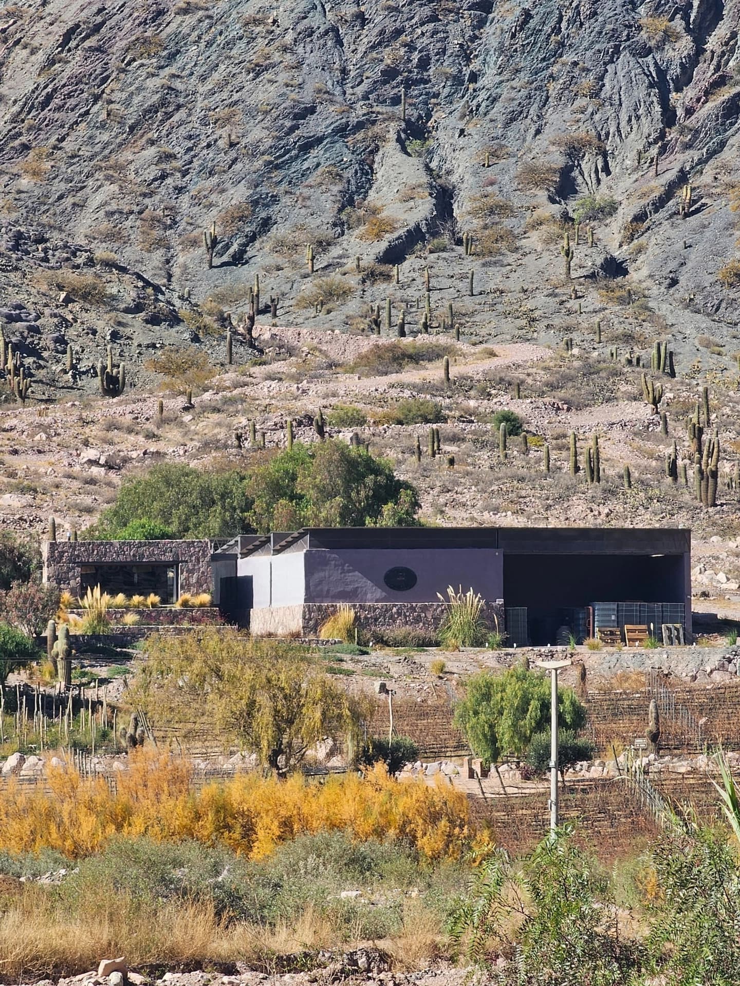 Bus Vitivinícola Quebrada de Humahuaca Sur Domingos desde Jujuy o Salta
