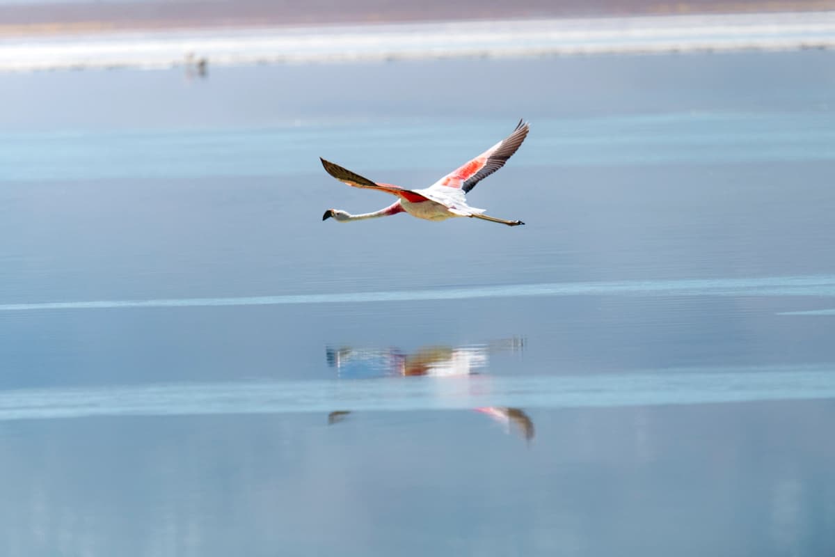 Parque Nacional Nevado Tres Cruces