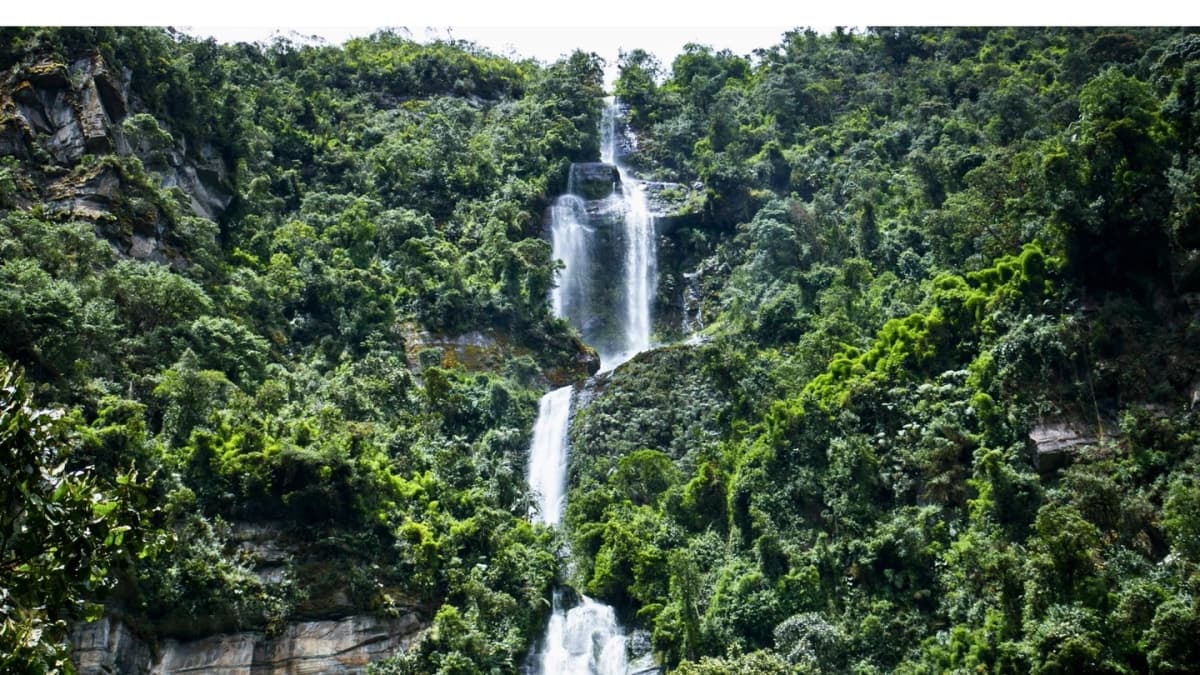 Tour natural a La Chorrera desde Bogotá para amantes del trekking