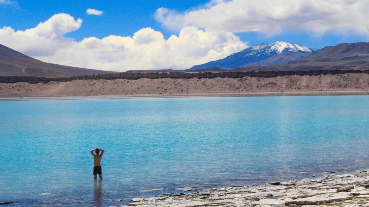 Dia inteiro Laguna Verde e termas com Mirante Ojos del Salado