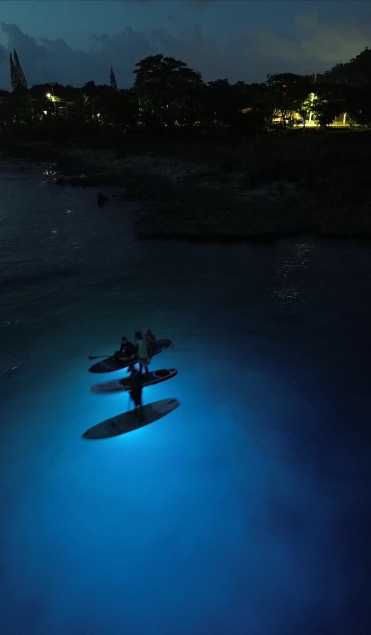Tour Paddleboard Night