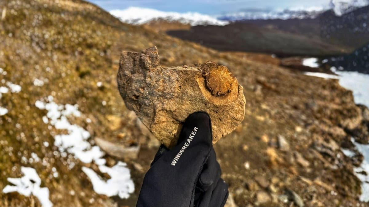 Trekking a la Meseta de los Fósiles en Puerto Guadal: Caminata Geológica por la Carretera Austral