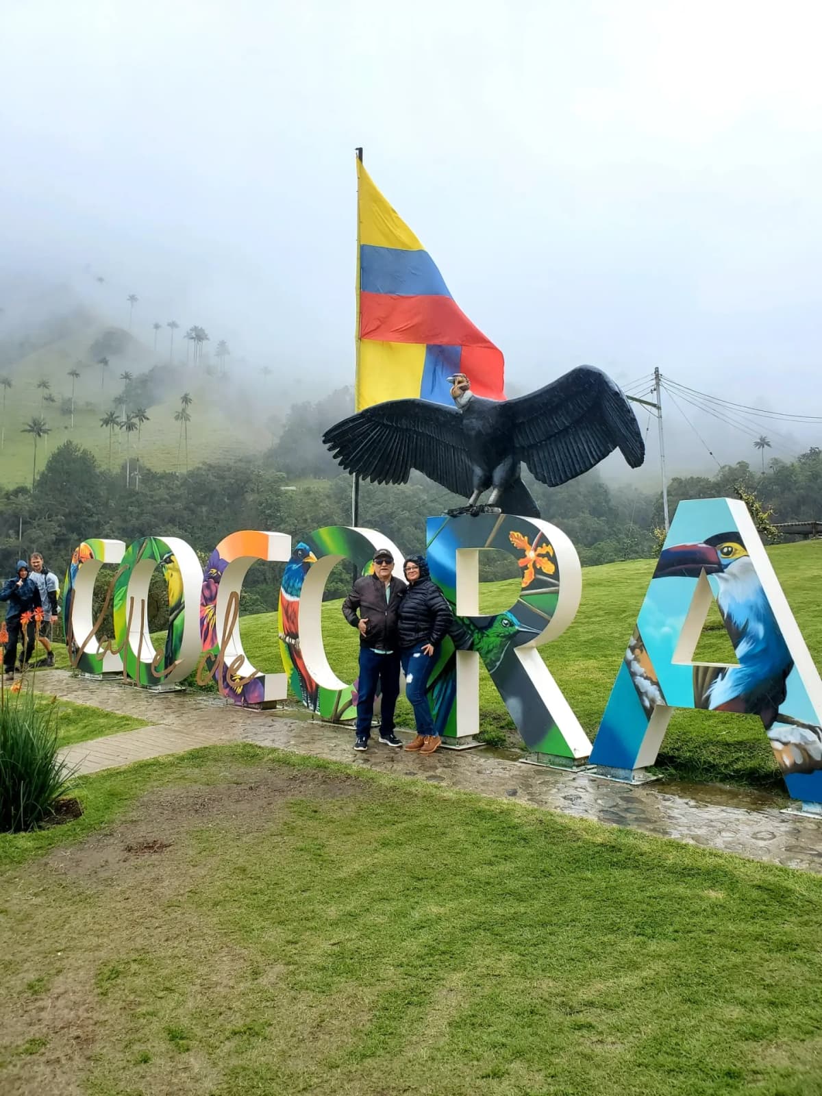 Group Tour Cocora Valley