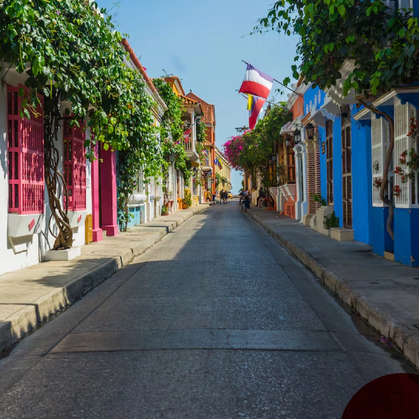 Paseo en Carroza de Caballo por Cartagena