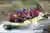 Rafting Familiar en el Río Mendoza en Blanco Encalada