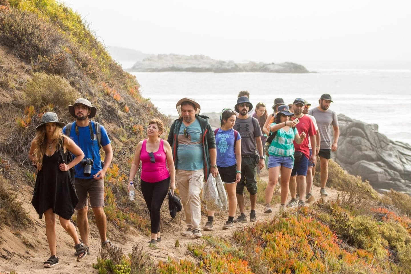 Papudo: Hiking in Las Plaiyas