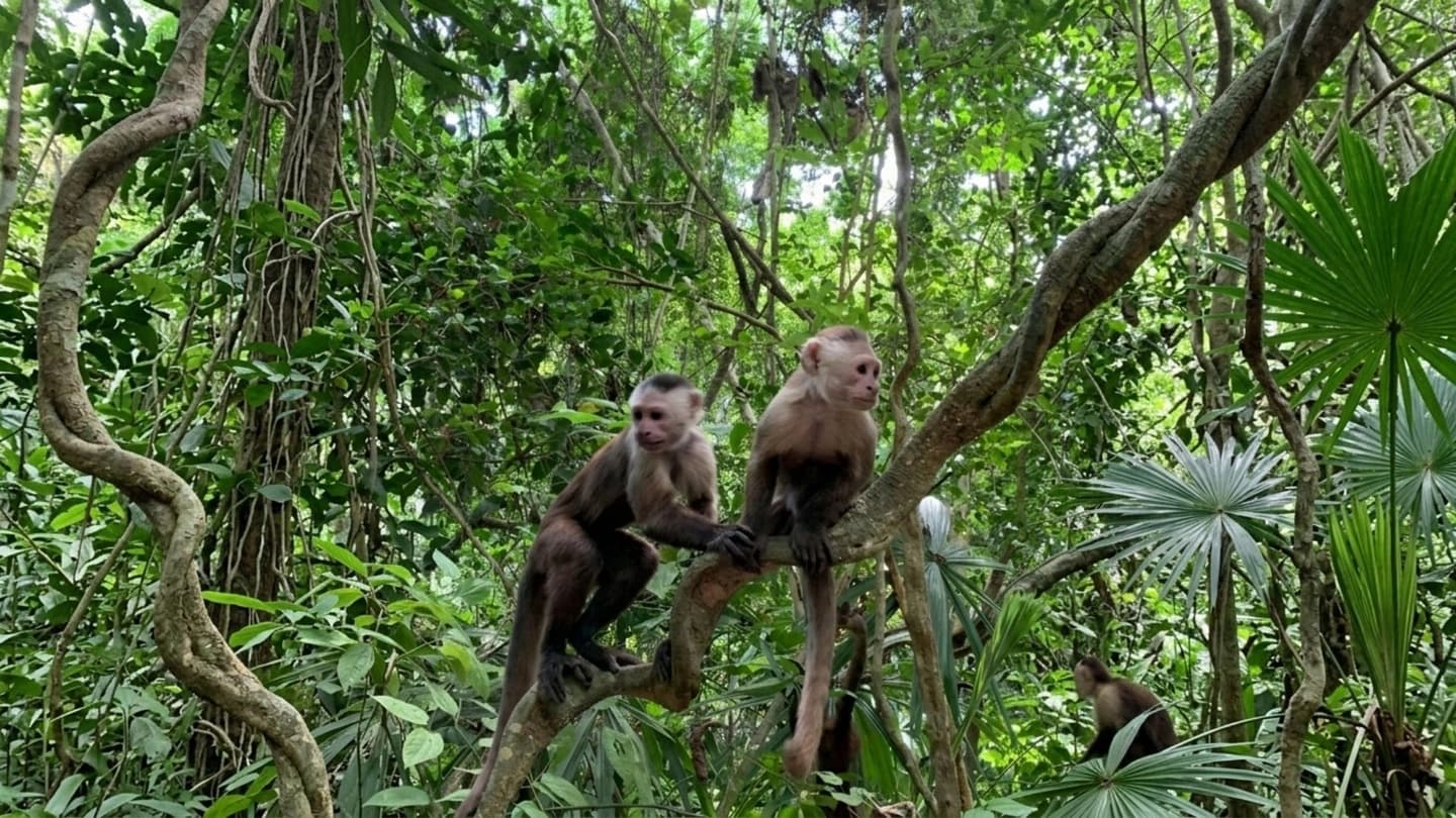 Trekking al Parque Tayrona y Cabo San Juan desde Santa Marta