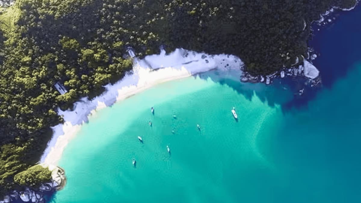 Excursión en Barco a Ilha do Campeche desde Florianópolis