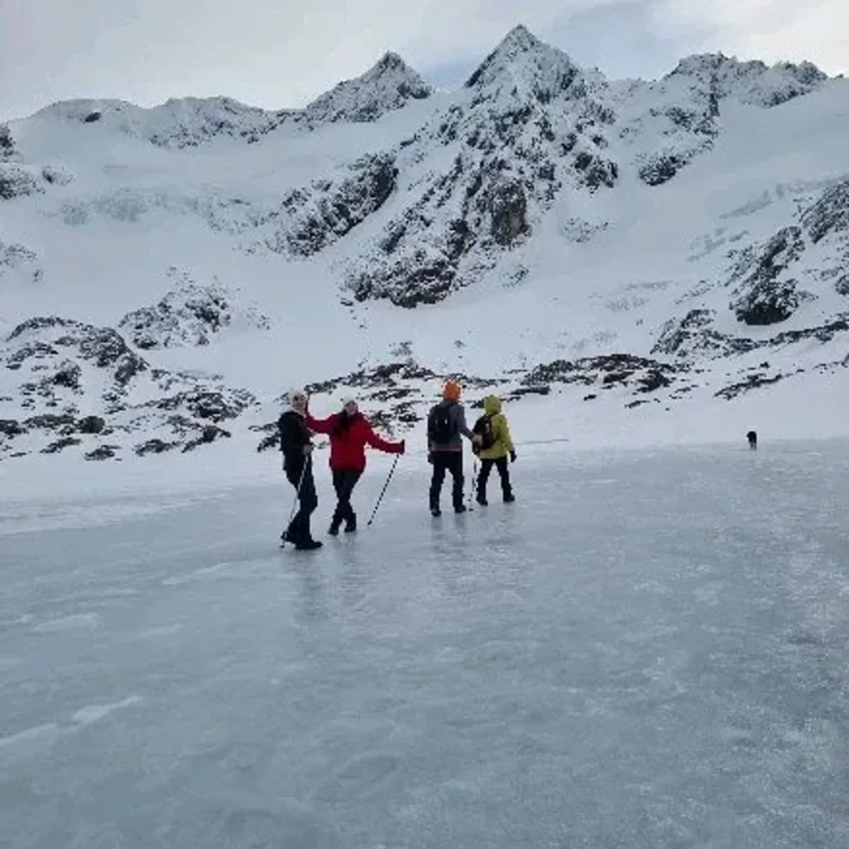 Trekking al Glaciar Ojo del Albino