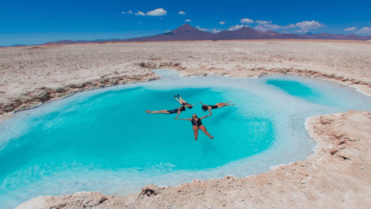 Tour de Dia Inteiro ao Salar de Pedernales e Maricunga desde Copiapó