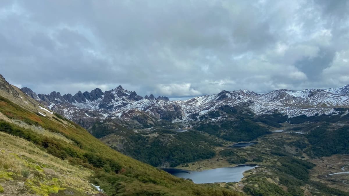 Expedición All-Inclusive a Dientes de Navarino