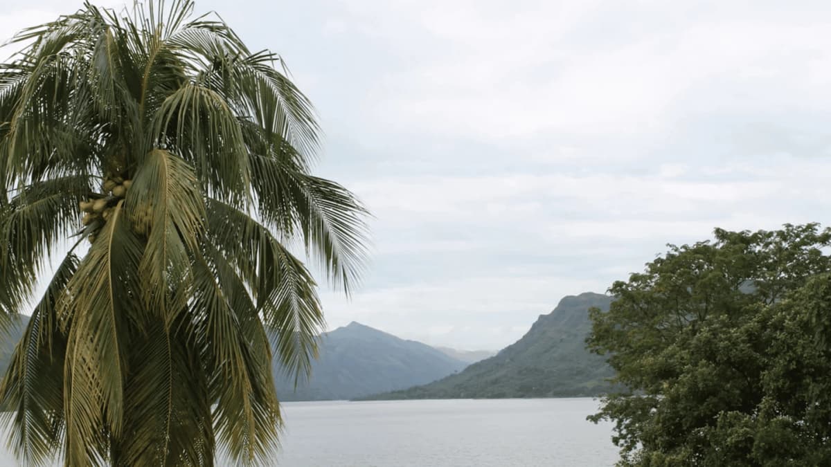 Conoce el mar interior de Colombia por 4 días desde bogotá