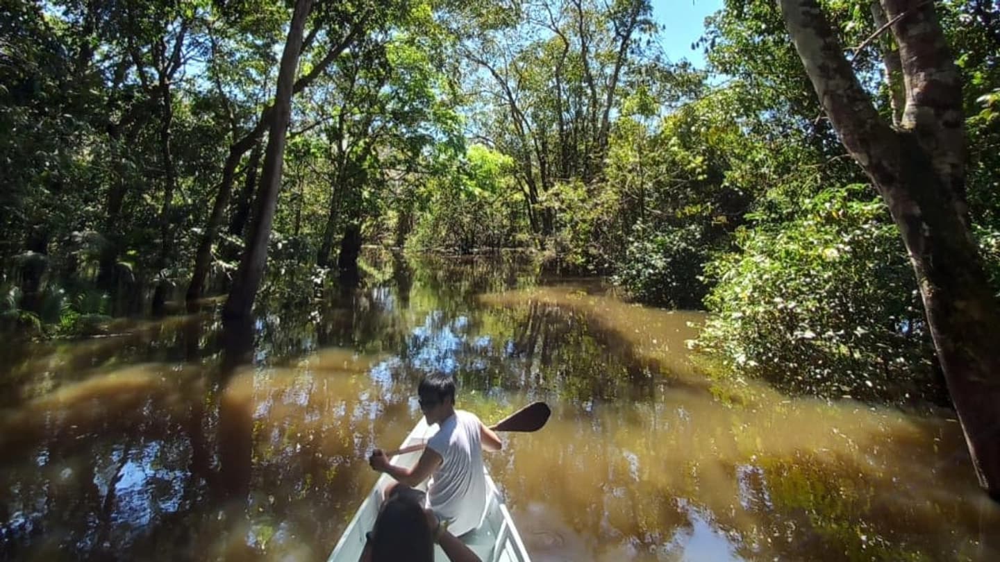 One-Day Amazon Jungle Tour from Manaus with Guide
