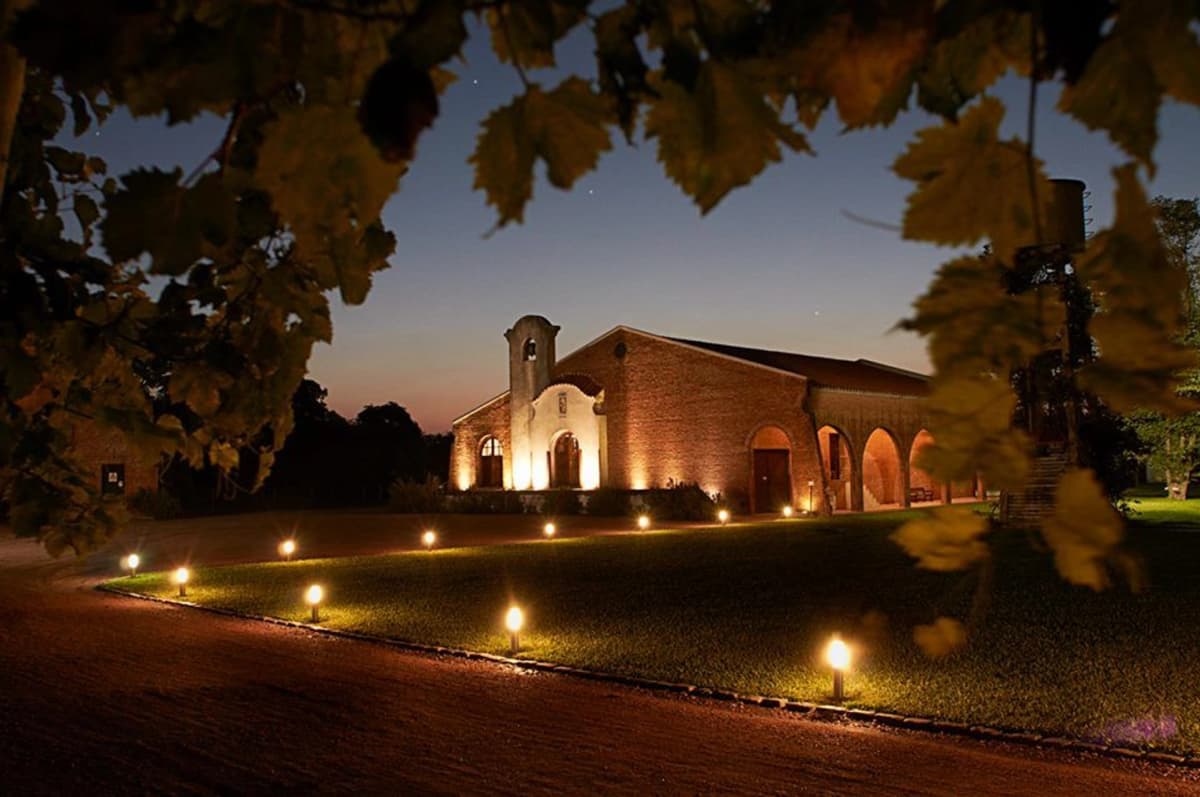 Visita y Degustación y Almuerzo en Bodega Bouza