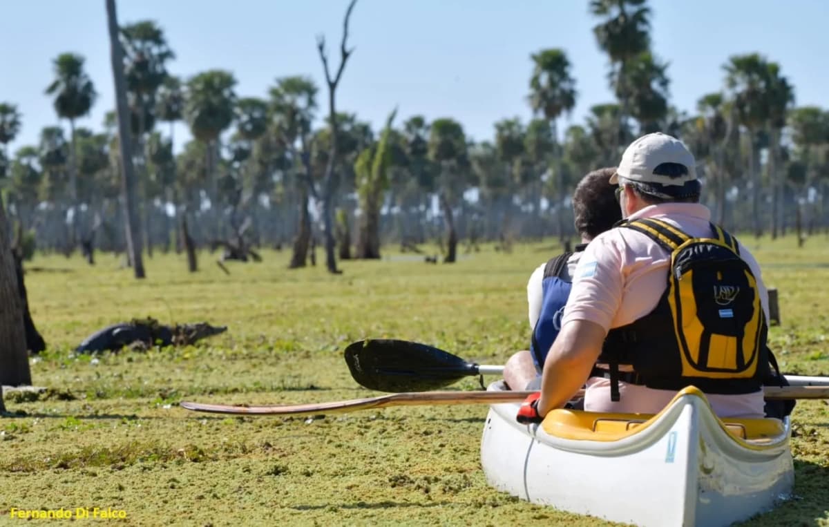 Bañado La Estrella: Exploración en la 7ma Maravilla