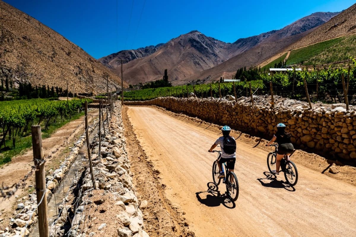 Biketour entre cerros y viñedos en Valle de Elqui