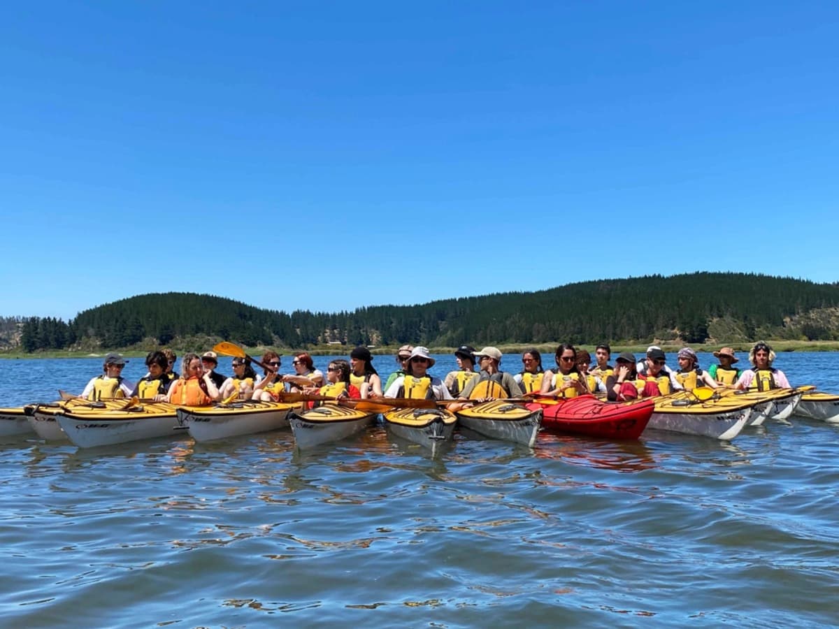 Explora en Kayak el Humedal de Cáhuil: Observación de Aves y Paz