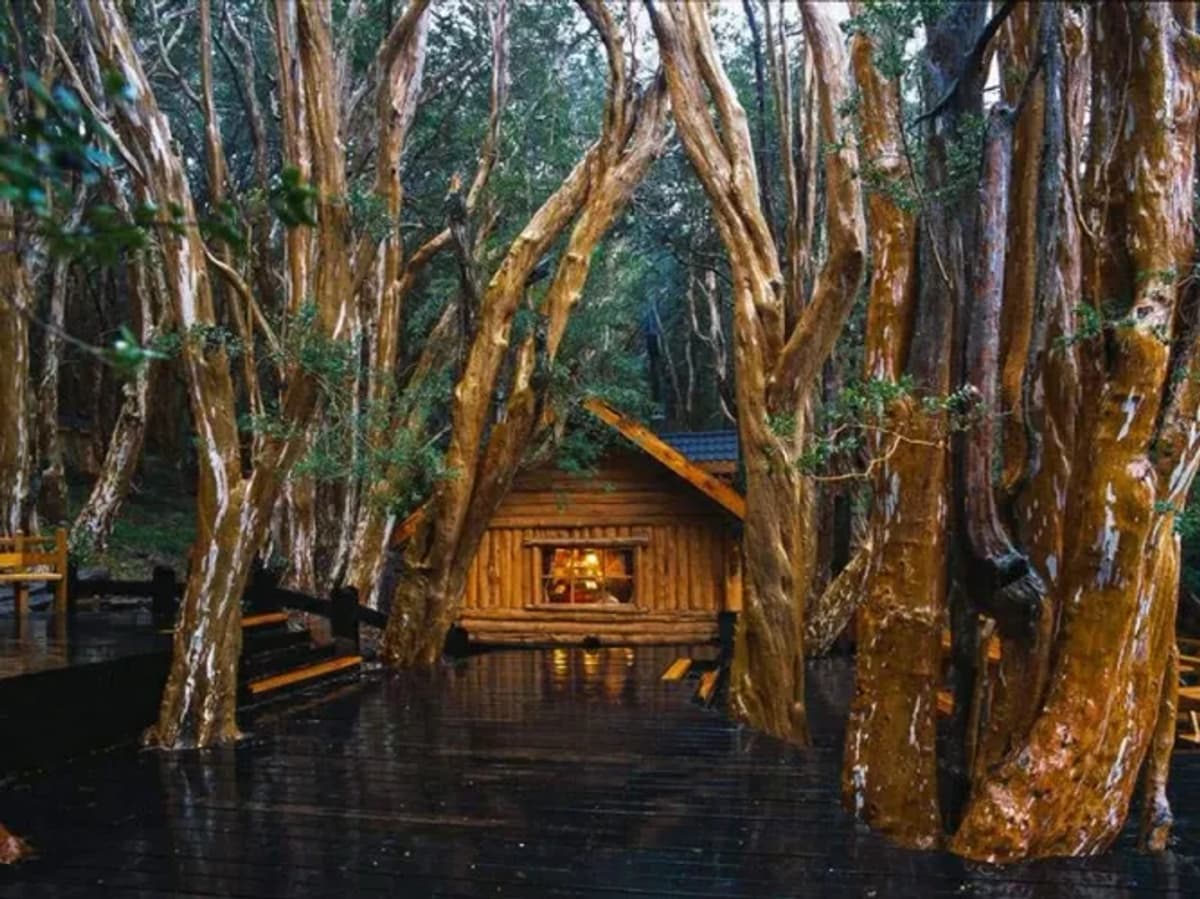 Excursión a Isla Victoria y Bosque de Arrayanes