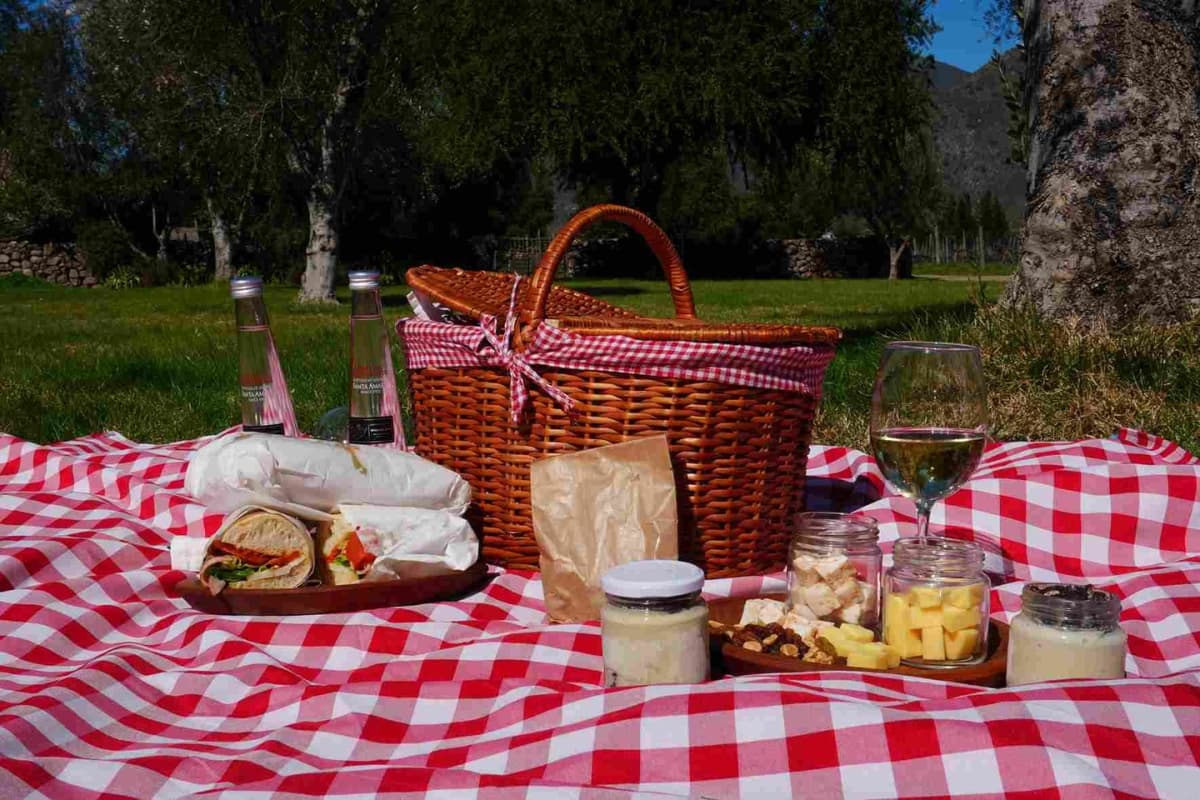 Casablanca: Picnic para 2 en Viña Emiliana