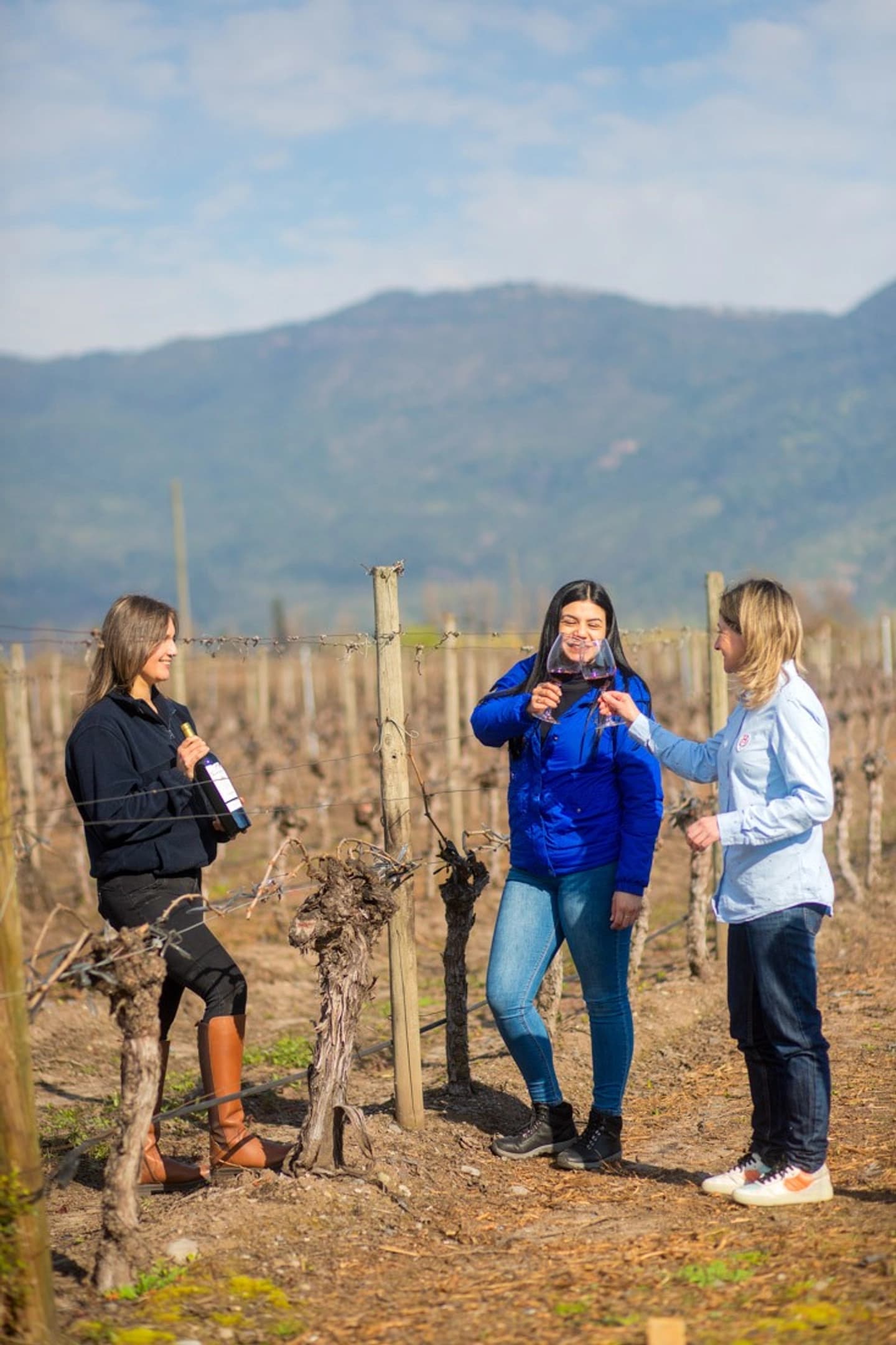 Tour Íconos Ravanal con vinos Premium en Placilla