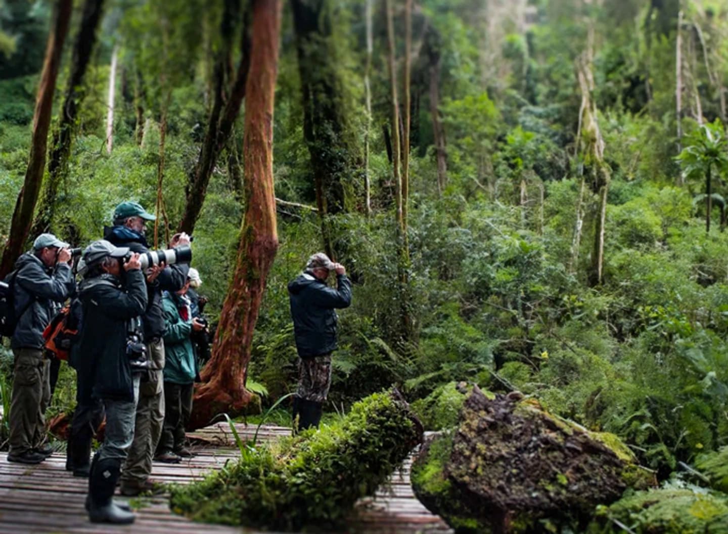 Ticket de ingreso por 2 días al Parque Tepuhueico en Chiloé