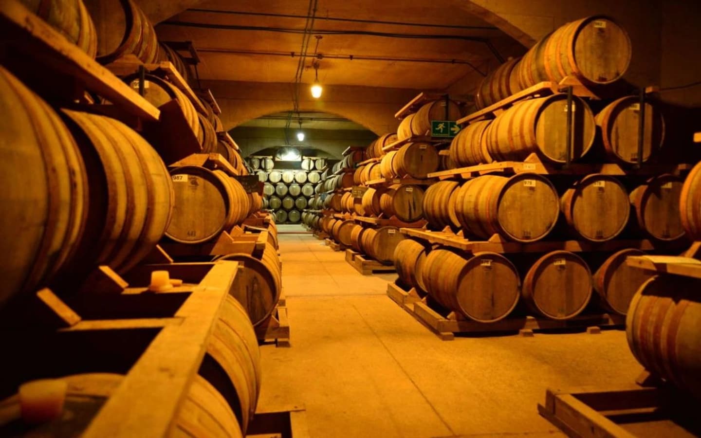 Tour Rota do Pisco desde La Serena