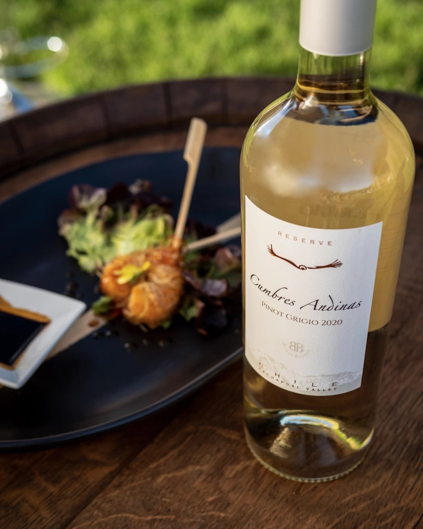 Wine Tradition in Rancagua: Tour and Tasting at Viña Butrón Budinich