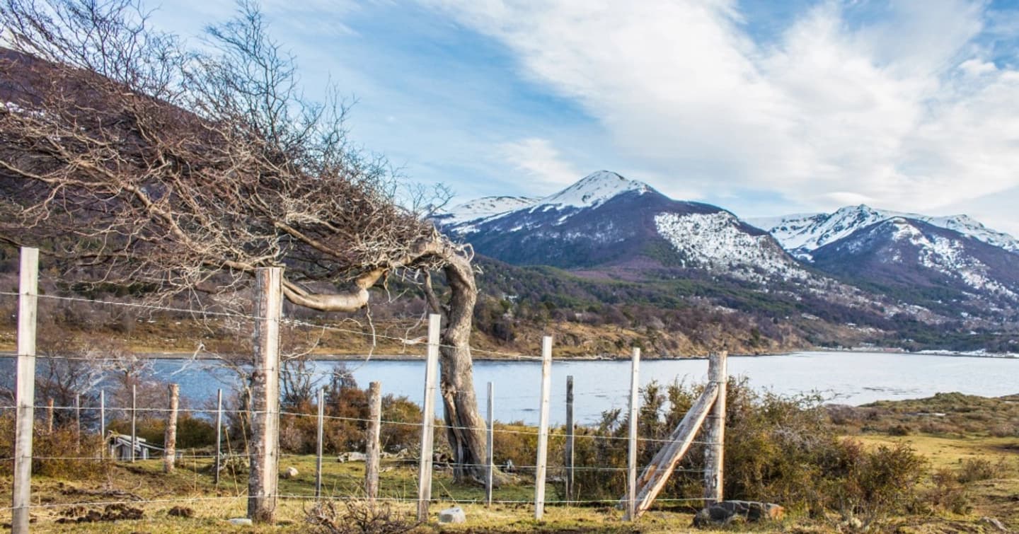 Viagem de Estrada até o Fim do Caminho: Puerto Eugenia desde Puerto Williams