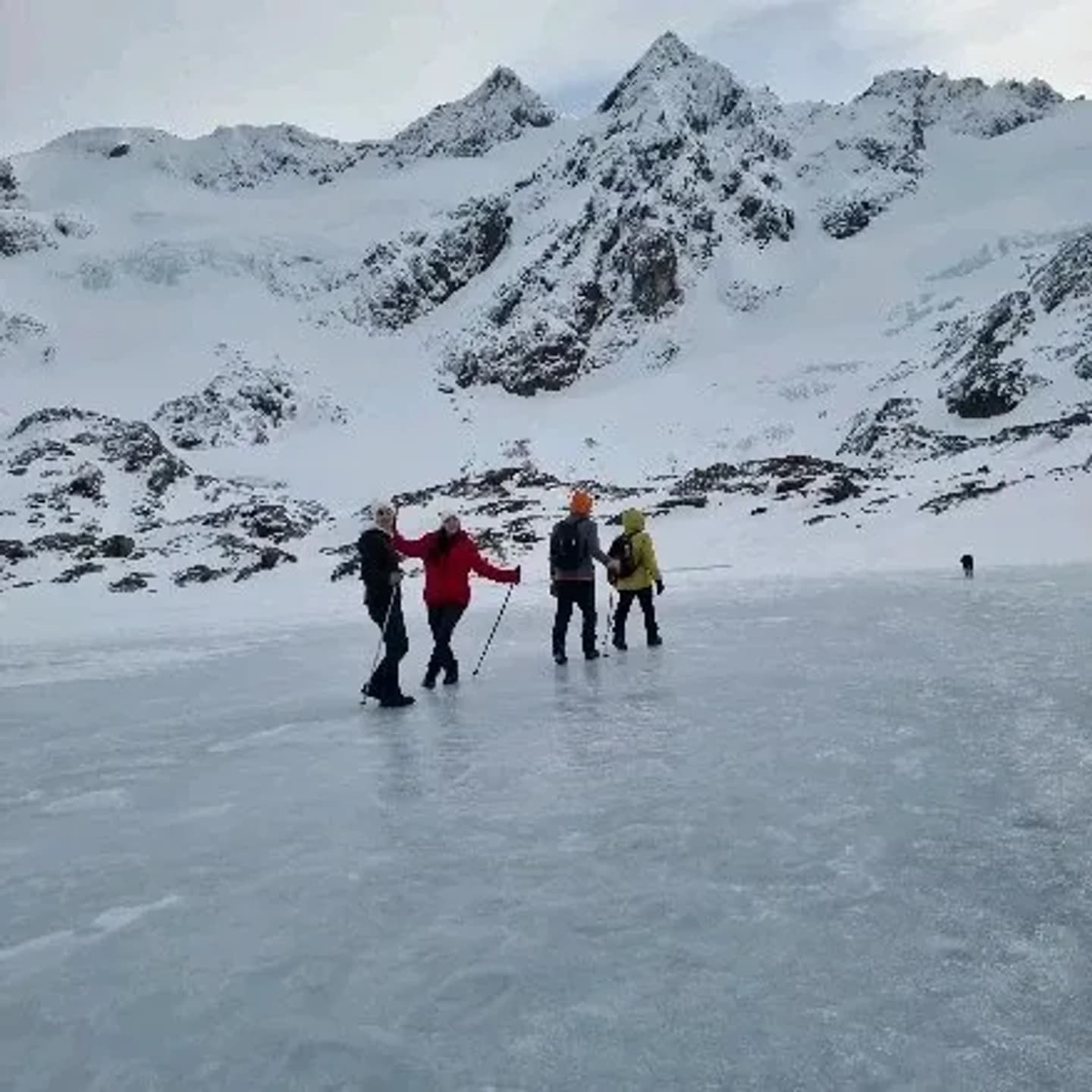 Trekking al Glaciar Ojo del Albino