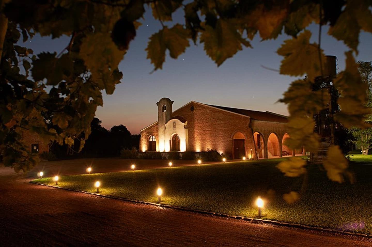 Visita y Degustación y Almuerzo en Bodega Bouza