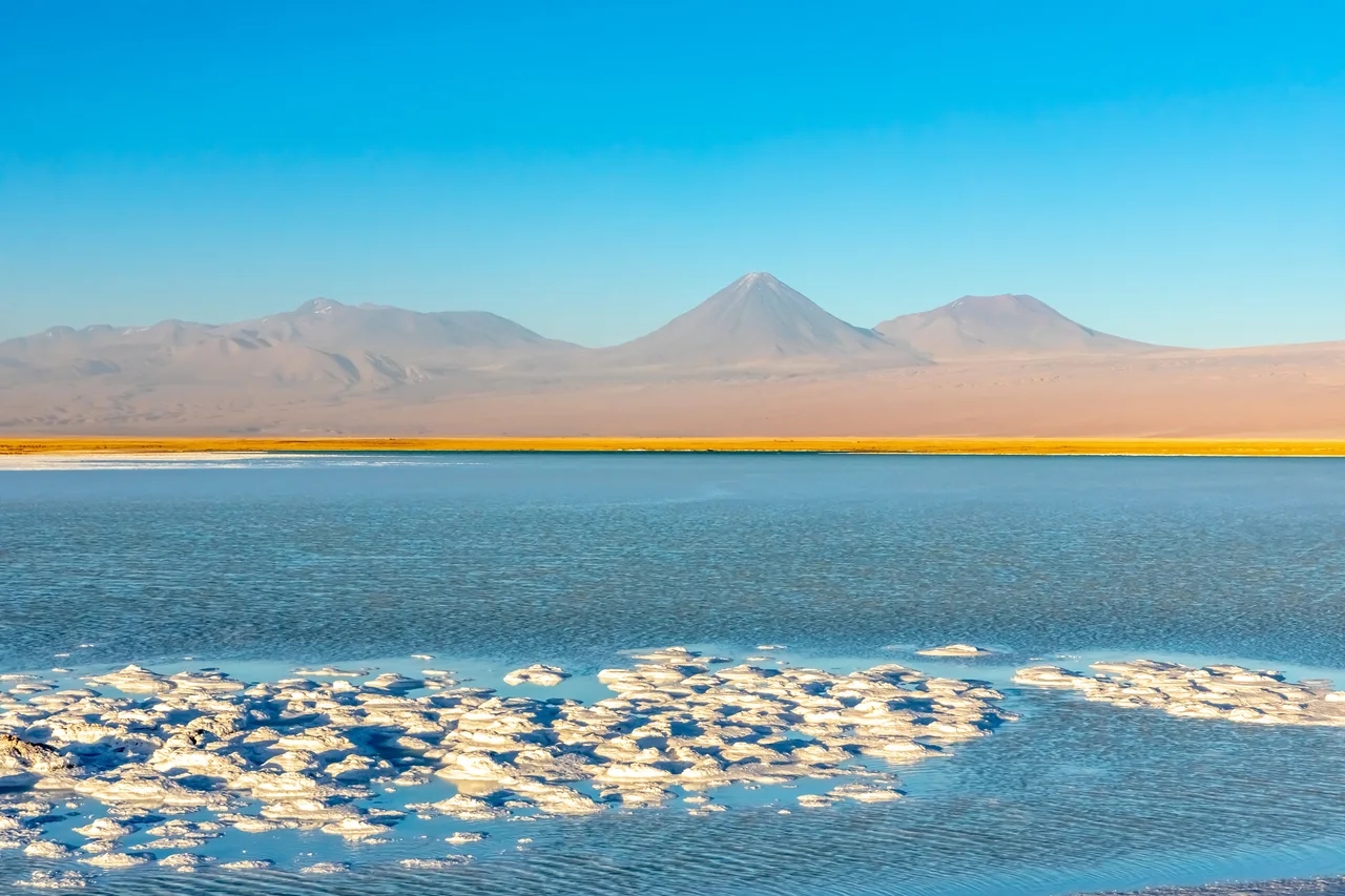 Salar de Atacama: qué hacer, fauna y consejos