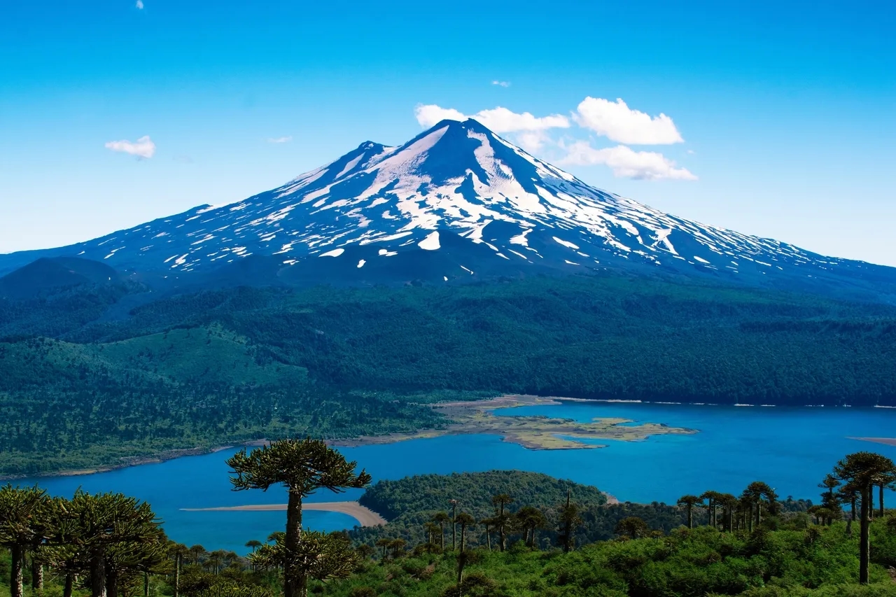 Araucanía en invierno: Araucarias milenarias, volcanes y nieve