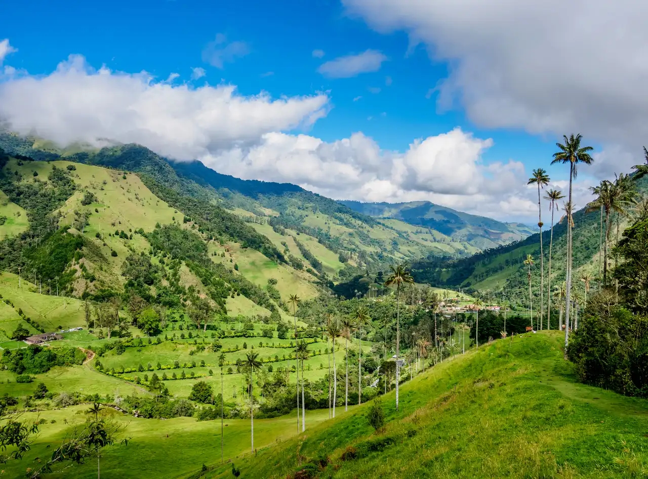 Eje Cafetero en Colombia: actividades y experiencias en el paraíso del café