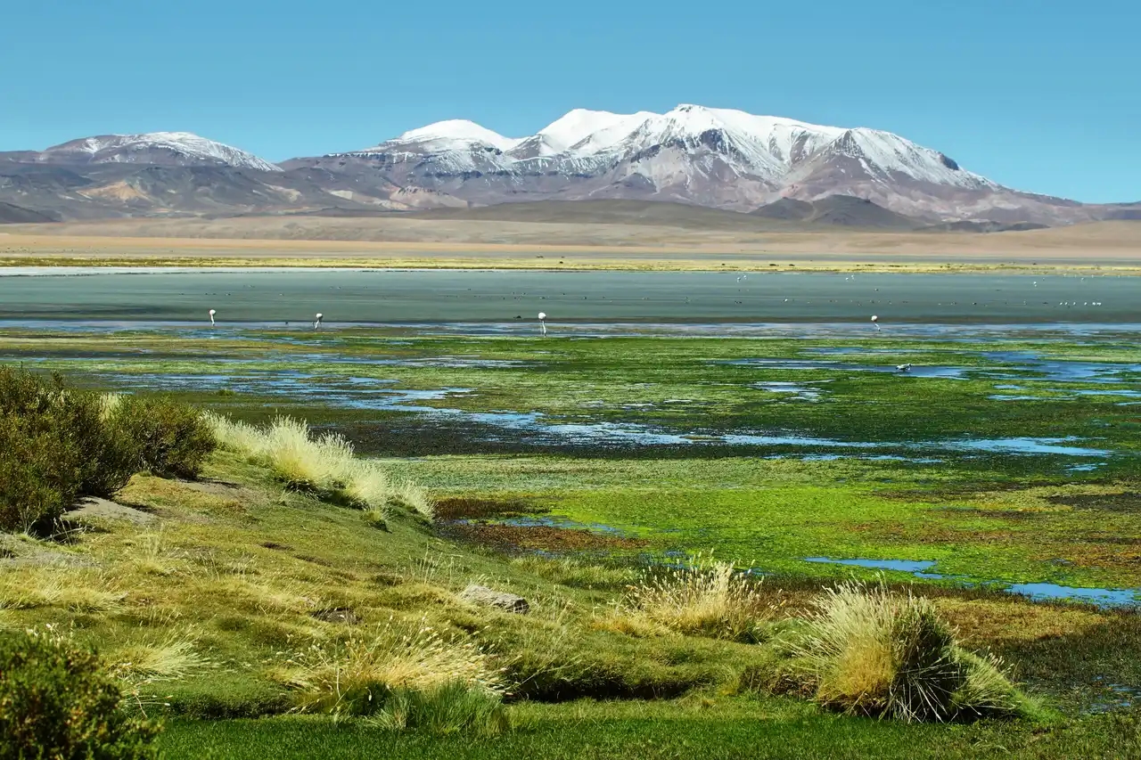 Qué hacer en San Pedro de Atacama: 10 imperdibles en el desierto