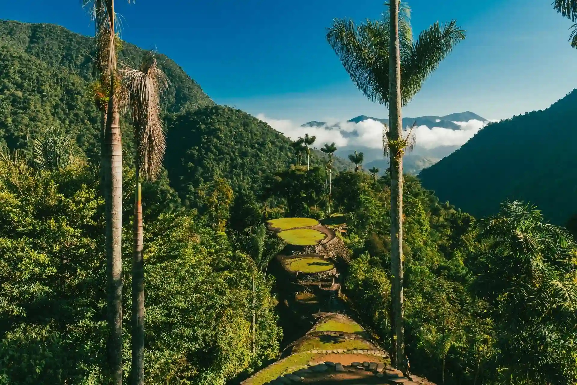 Todo sobre el Trekking a Ciudad Perdida