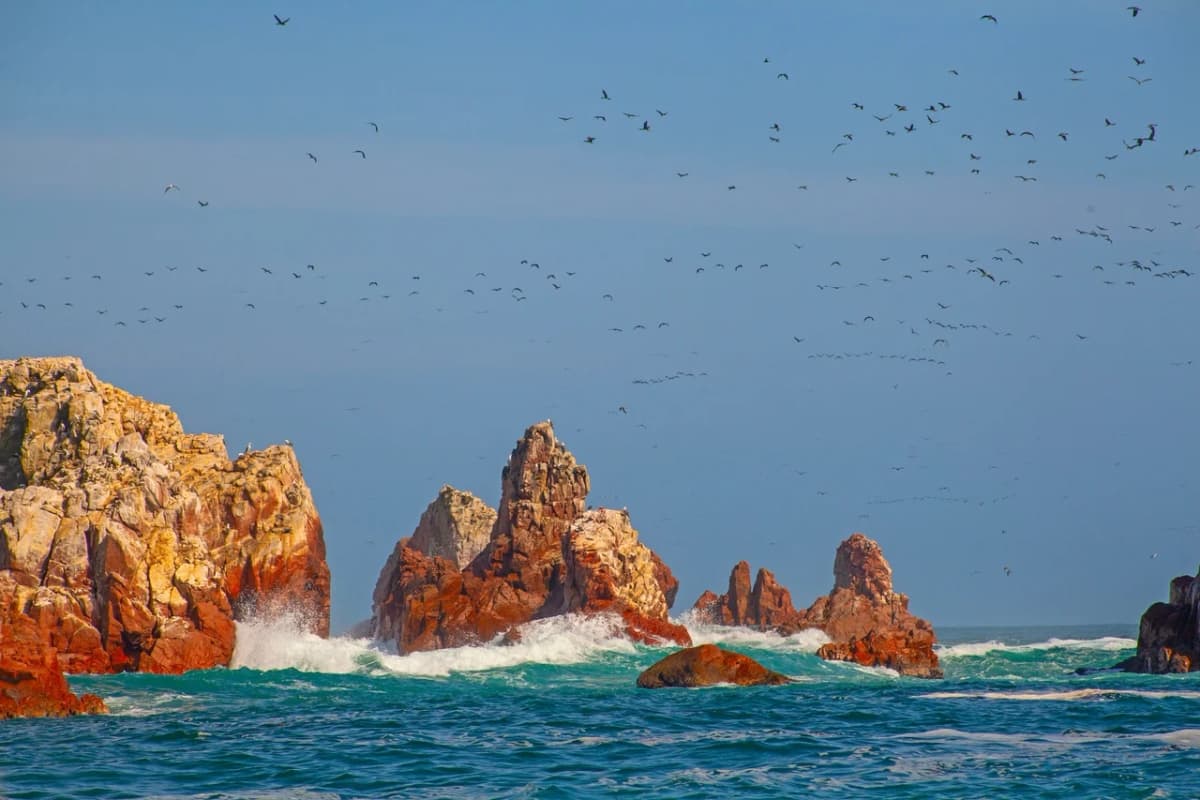 Las Islas Ballestas: un refugio de vida silvestre en la costa peruana