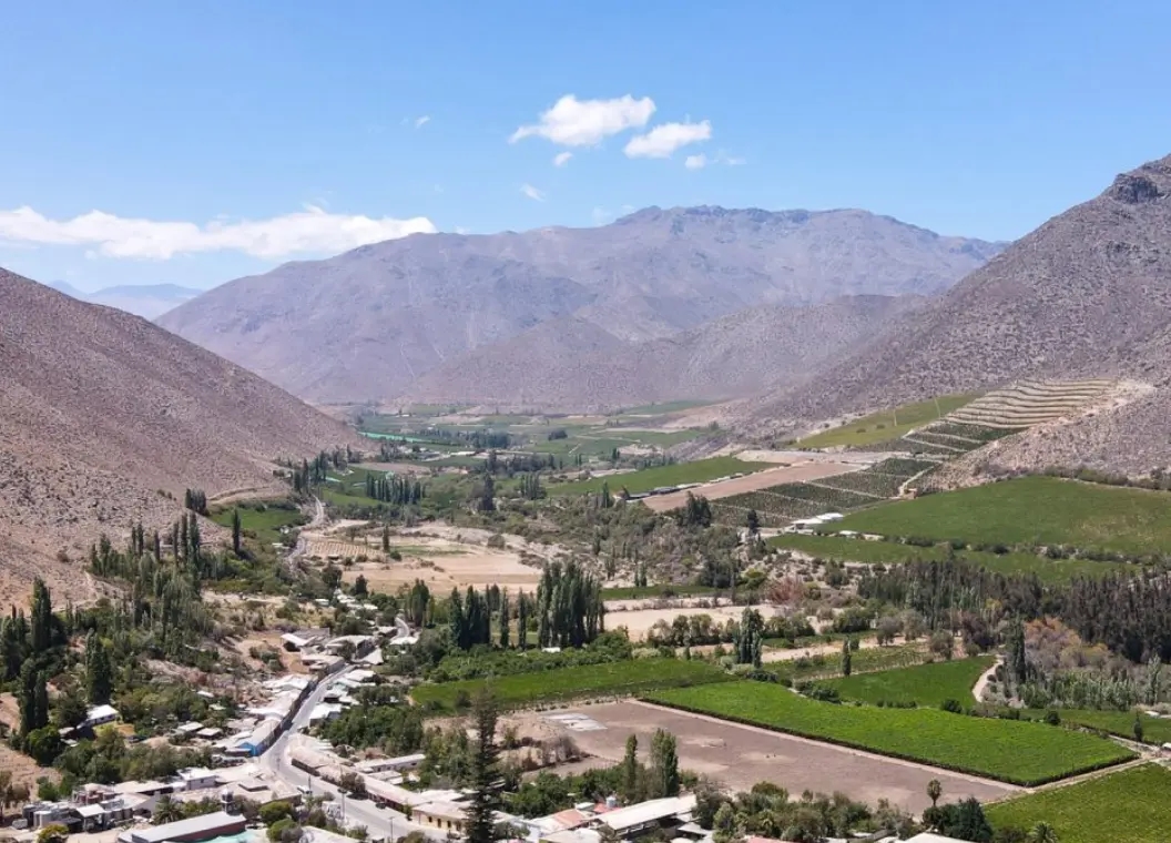 Ovalle: el oasis fértil del valle de Limarí
