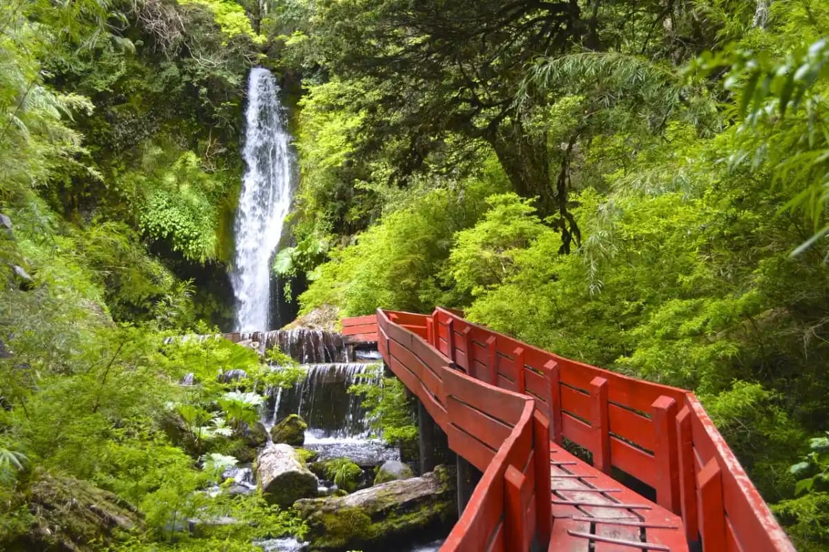 Termas Geométricas: un santuario en medio de la selva valdiviana
