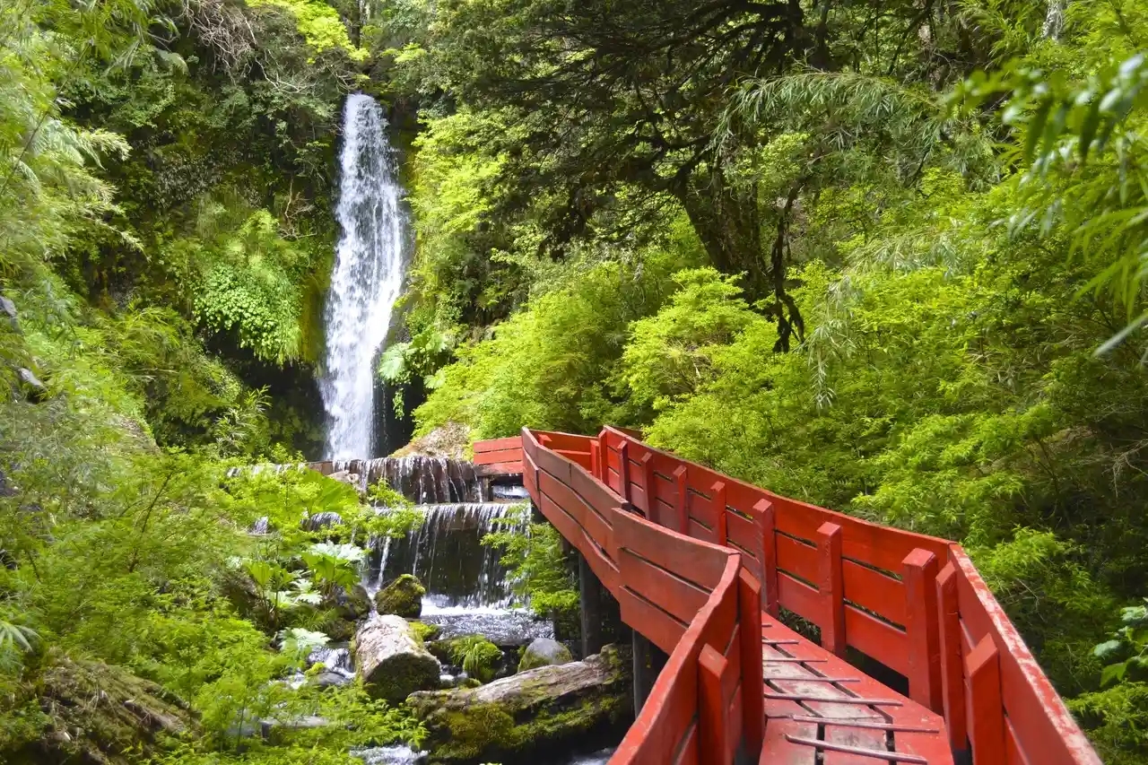 Termas Geométricas: un santuario en medio de la selva valdiviana