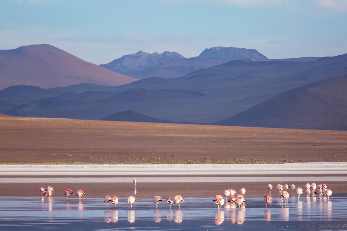 Vacaciones de invierno en el norte de Chile: Arica y Tarapacá