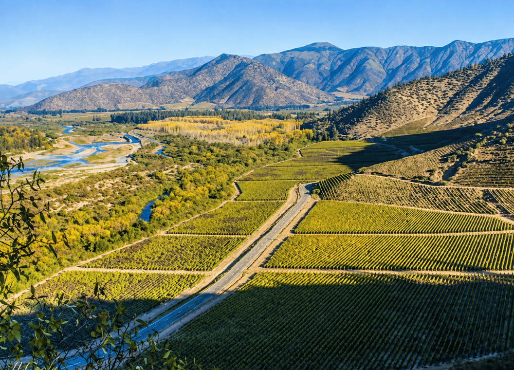 Descubre Isla de Maipo: una escapada rural cercana a Santiago