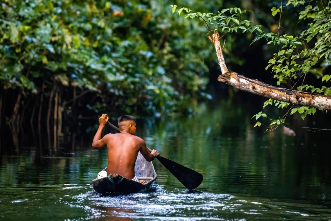 Qué hacer en Estado de Amazonas