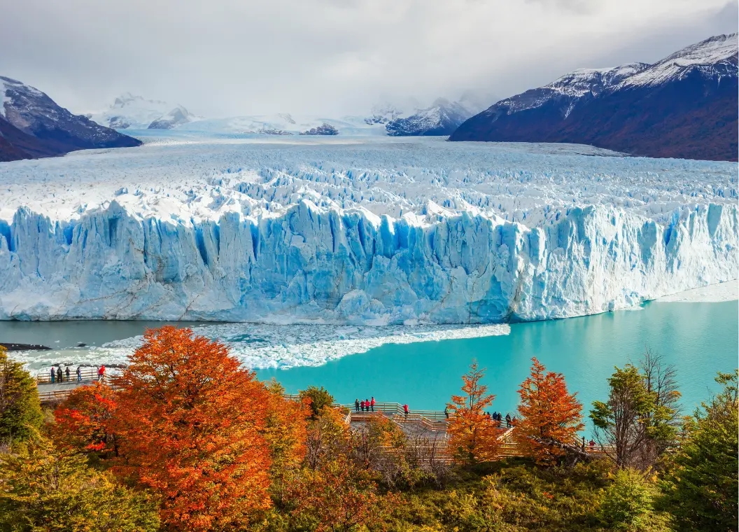 Discover the Perito Moreno Glacier: The Living Ice Giant