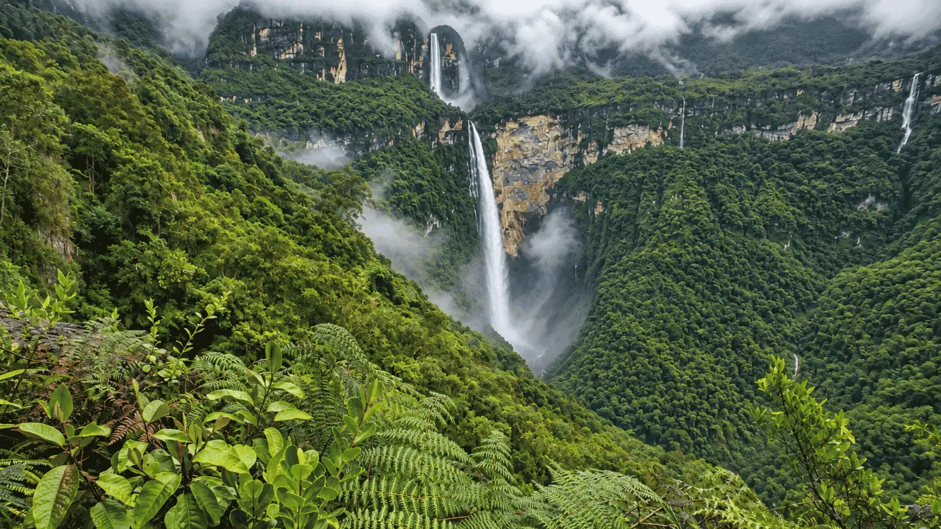 Qué hacer en Cocachimba: Catarata Gocta y naturaleza