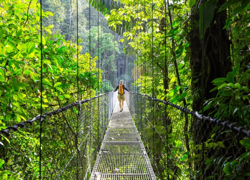 Qué hacer en Monteverde