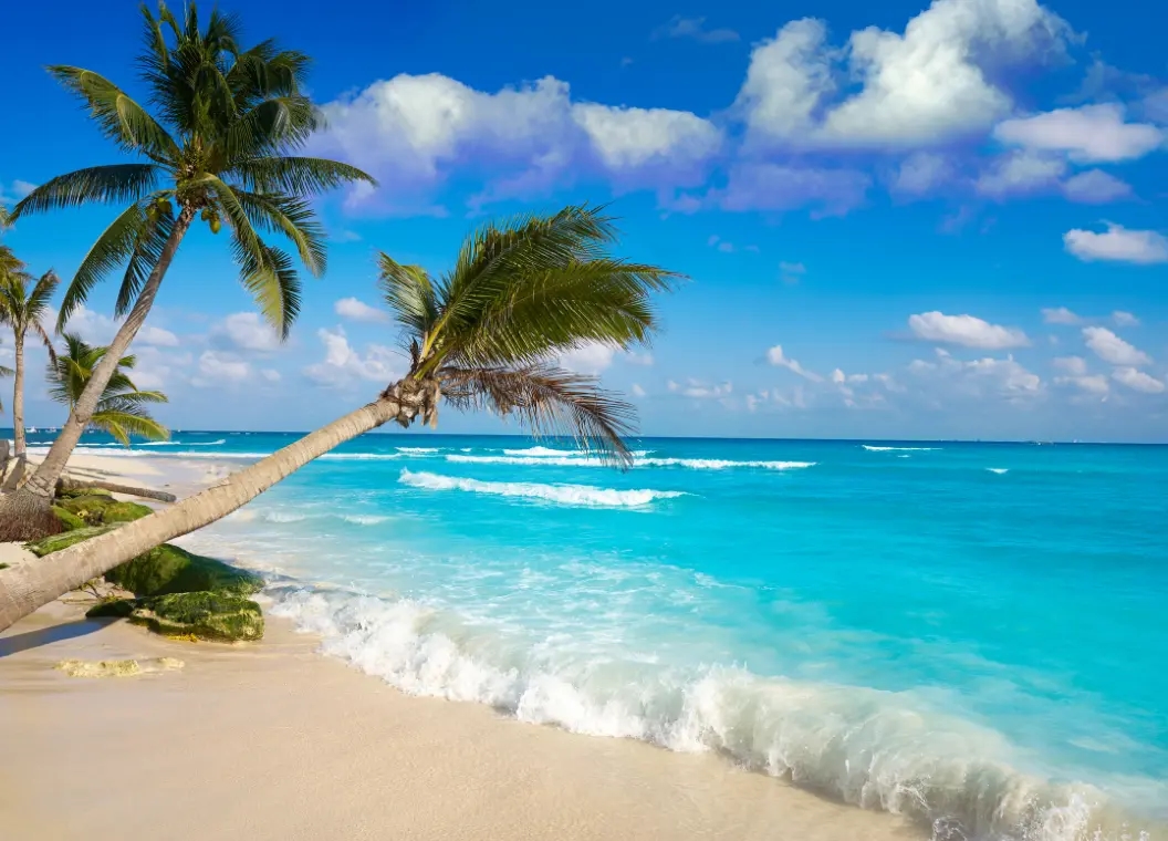 Qué hacer en Playa del Carmen