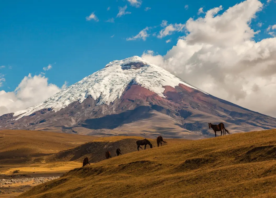 Qué hacer en Provincia de Cotopaxi