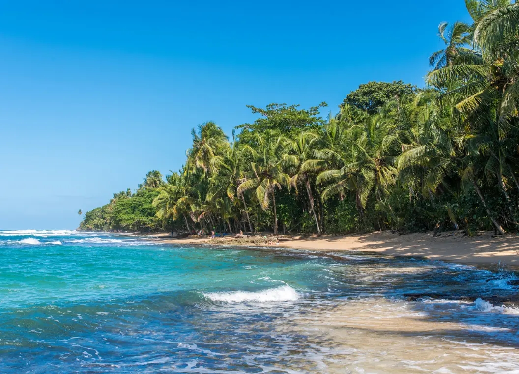 Qué hacer en Provincia de Limón