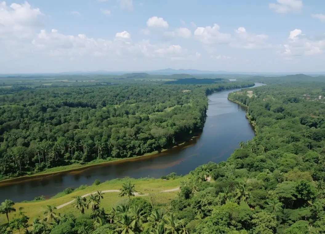 Puerto Maldonado: biodiversidad, ríos amazónicos y selva