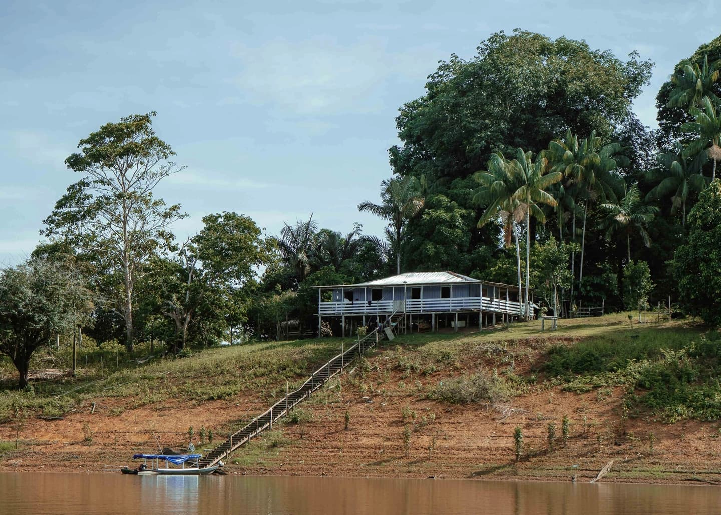 4-Day Amazon Jungle Tour from Manaus